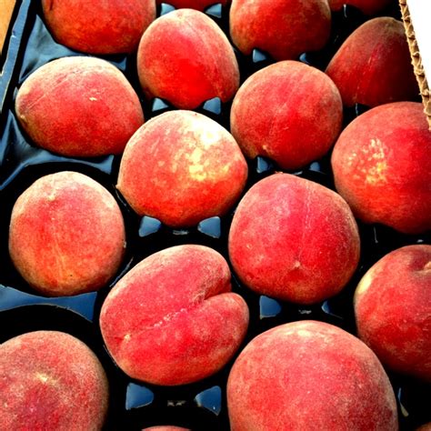 White Peaches Information, Recipes and Facts