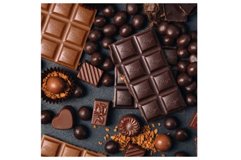 Laima Chocolate Factory – EUROPEA