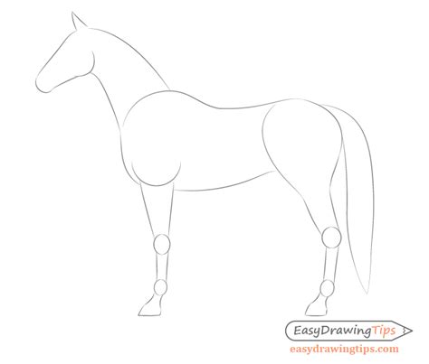 How to Draw a Horse From the Side View Tutorial - EasyDrawingTips