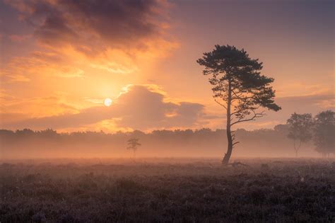 Hazy sunrise in The Netherlands (2000x1333)[OC] : r/EarthPorn