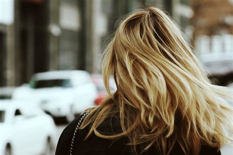 Free Stock Photo of Back of Women's Head with blonde hair - Public Domain photo - CC0 Images