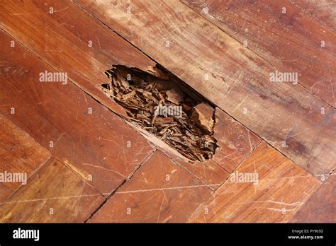 Old and broken wood parquet floor surface Stock Photo - Alamy