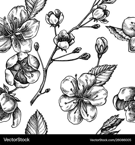 Seamless pattern with black and white sakura Vector Image