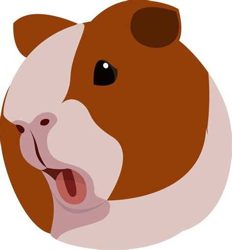 Guinea pig, illustration, vector on white background. 13623372 Vector Art at Vecteezy