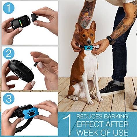 DogRook Bark Collar - Humane, No Shock Training Collar - Action Without ...