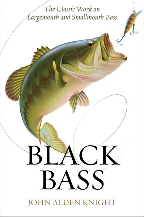 Black Bass | Ask About Fly Fishing