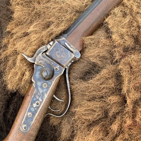 A Buffalo Hunt With a Sharps Rifle - Gunsmithing Journal