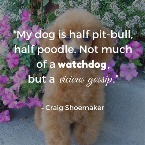 Dog Quotes — We Rounded up the Best of the Best