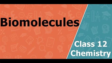 Biomolecules Class 12 Chemistry - YouTube