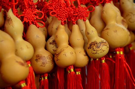 Bottle Gourd Lucky Charms Free Stock Photo - Public Domain Pictures