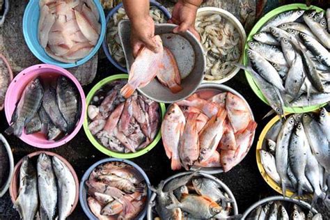 Pembangunan Pasar Ikan Bertaraf Internasional Dinilai Bukan Prioritas