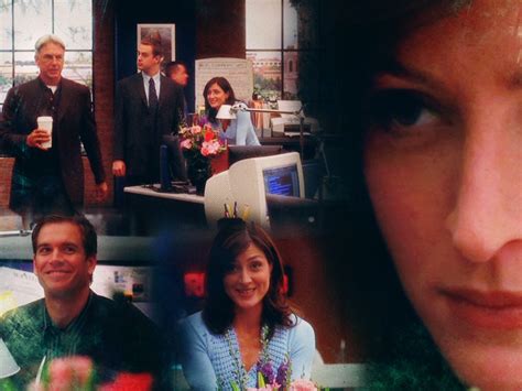 kate todd - The Angels of NCIS Photo (24777500) - Fanpop