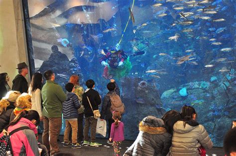 6 Kid-Friendly Sightseeing Attractions in Seattle - Vagabond Family Travel Blog