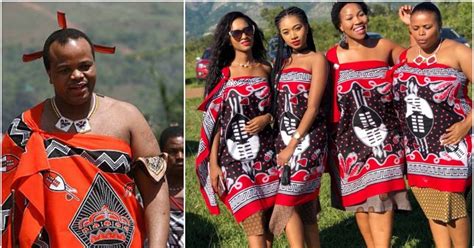 how does the king of swaziland chooses his wives - Naija News Olofofo