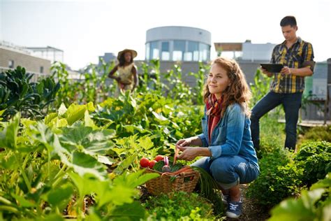 Sustainable Agriculture & Food Chain | Connecting Nature