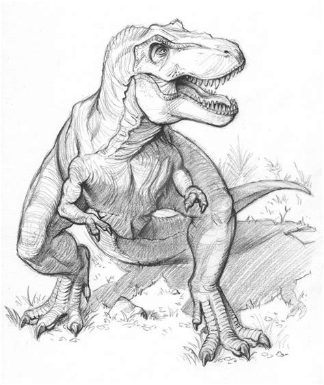 T-Rex sketch by Almayer on DeviantArt | Dinosaur sketch, T-rex drawing, Dinosaur illustration