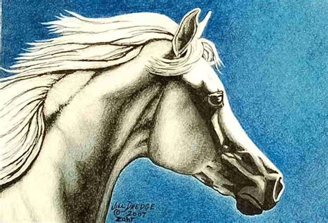 Arabian Equine Art Arab White Horse Signed Numbered Matted - Etsy