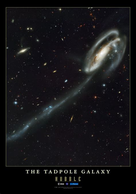 Tadpole Galaxy | ESA/Hubble