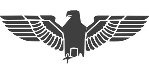 Eagle Bird Falcon · Free vector graphic on Pixabay