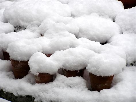 Snow pots | Flower pots covered in snow on garden table. | Ashley Basil | Flickr