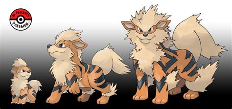 058 - 059 Growlithe Line by InProgressPokemon | Pokemon breeds, Pokemon manga, Pokemon lugia