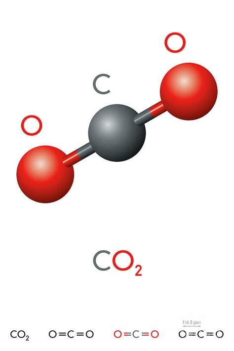 Carbon dioxide, CO2, molecule model and chemical formula Digital Art by ...
