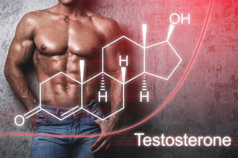 What Causes Male Testosterone Levels to Drop? - Socialwrecker