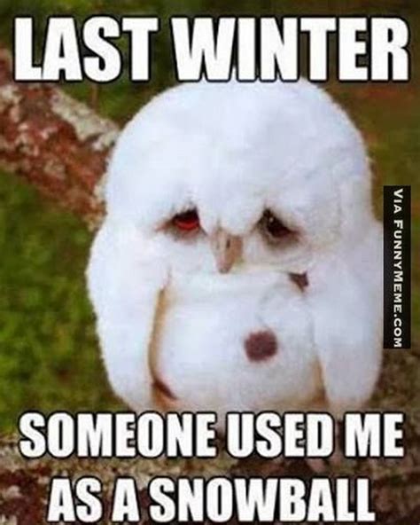 55 Funny Winter Memes That Are Relatable If You Hate Snowstorms