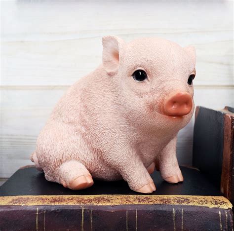 Ebros Rustic Adorable Animal Farm Babe Fat Nude Piglet Pig Sitting Figurine 6"L - Walmart.com