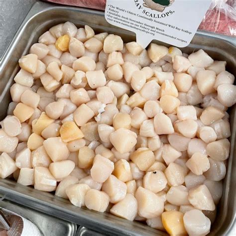 Nantucket Bay Scallops | Buy Fresh Bay Scallops Online – SoPo Seafood