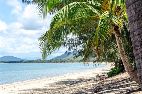 Palm Cove beach images