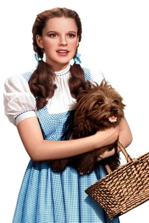 Wizard Of Oz Dorothy And Toto