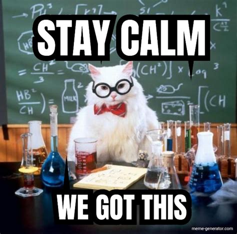 STAY CALM WE GOT THIS - Meme Generator