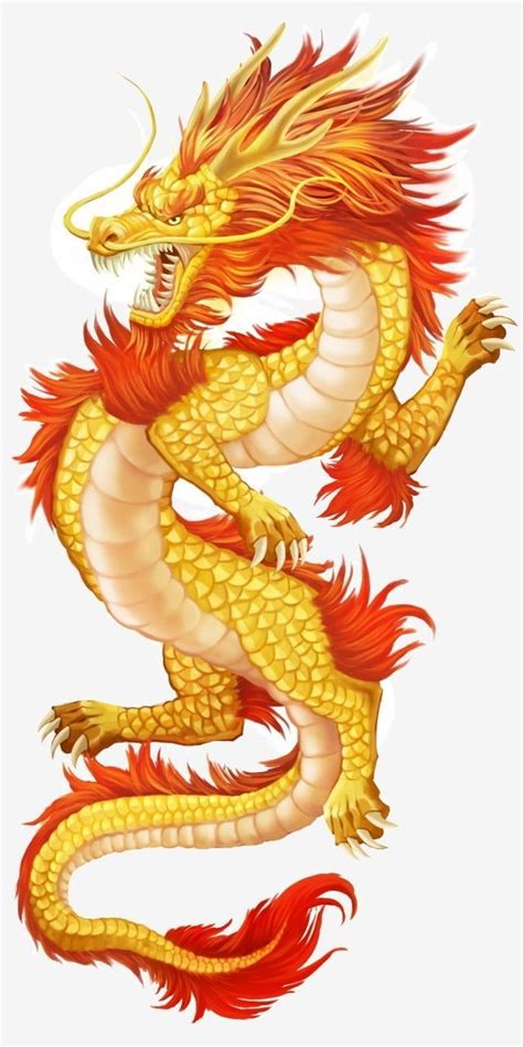 Dragon Flies Realistic | Dragon decor, Cartoon dragon, Chinese dragon ...