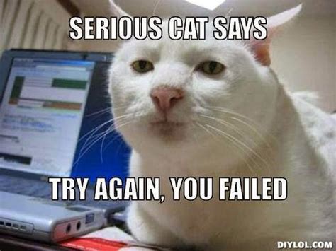 Write-Freelance-Indian-Freelance-writers-Serious-cat-try-again-meme-1 | Write Freelance