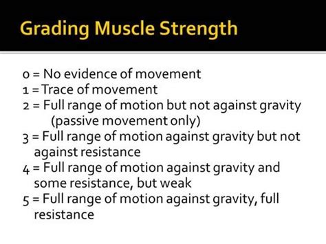 strength scale physical exam | ... Muscle Strength Grading Table spiral ...