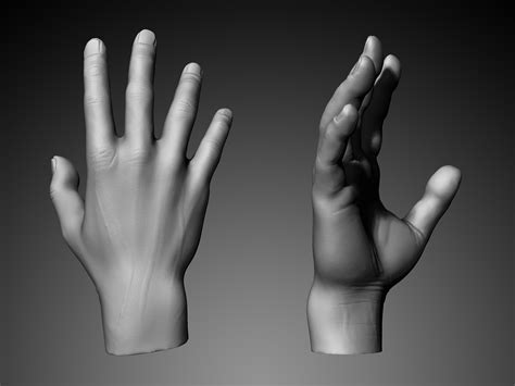 Hand 3D Model