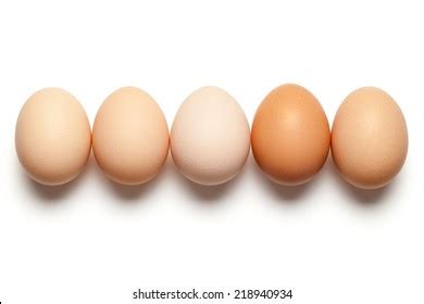 13,644 5 Eggs Images, Stock Photos & Vectors | Shutterstock