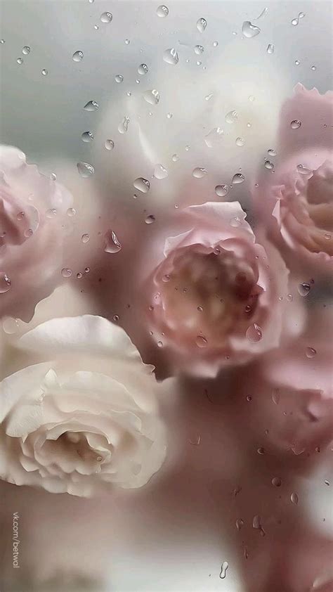 water drop flowers | Floral wallpaper iphone, Flower iphone wallpaper, Flower phone wallpaper