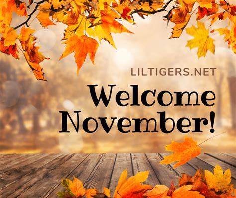 100 Inspirational Hello November Quotes, Sayings & Wishes 2022