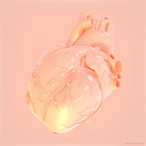 Heart Gif, Love Heart, Heart Beat, Human Heart Drawing, Human Skeleton Anatomy, Animated Heart ...
