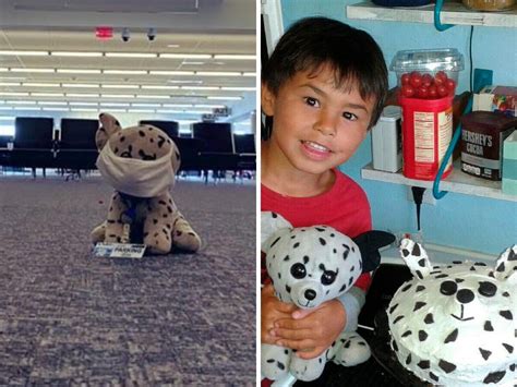 Lost toy dog Cincinnati| 'Going the extra mile:' Cincinnati airport ...