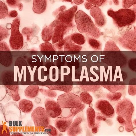 Mycoplasma Infection. Boost Your Immune System With Our Supplements