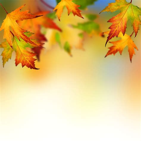 AUTUMN LEAVES Recited by Peter O’Shaughnessy | Tribalmystic stories