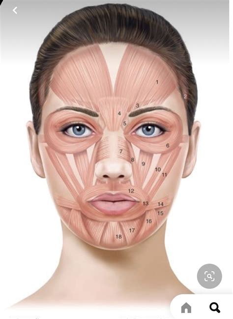 Botox Injection Sites, Botox Injections, Saggy Face, Face Lift Exercises, Baggy Eyes, Facial ...
