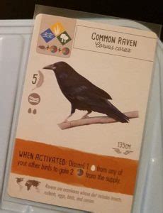 Chihuahuan Raven and Common Raven in Wingspan • Wingsplain