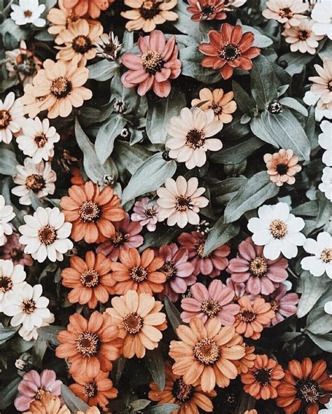 15 Excellent wallpaper aesthetic floral You Can Use It For Free - Aesthetic Arena