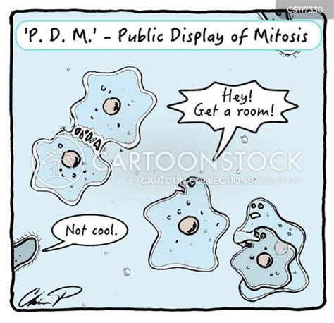 Mitosis Cartoons and Comics - funny pictures from CartoonStock