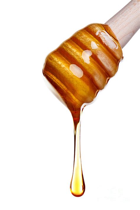 Honey dripping clipart