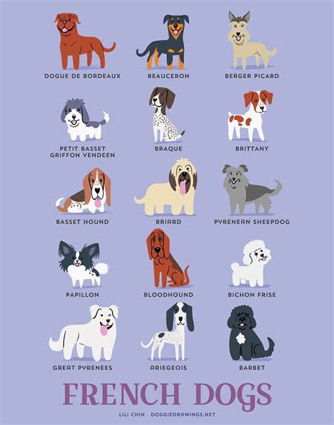 The Origins Of 200 Dog Breeds Explained In Adorable Posters | DeMilked